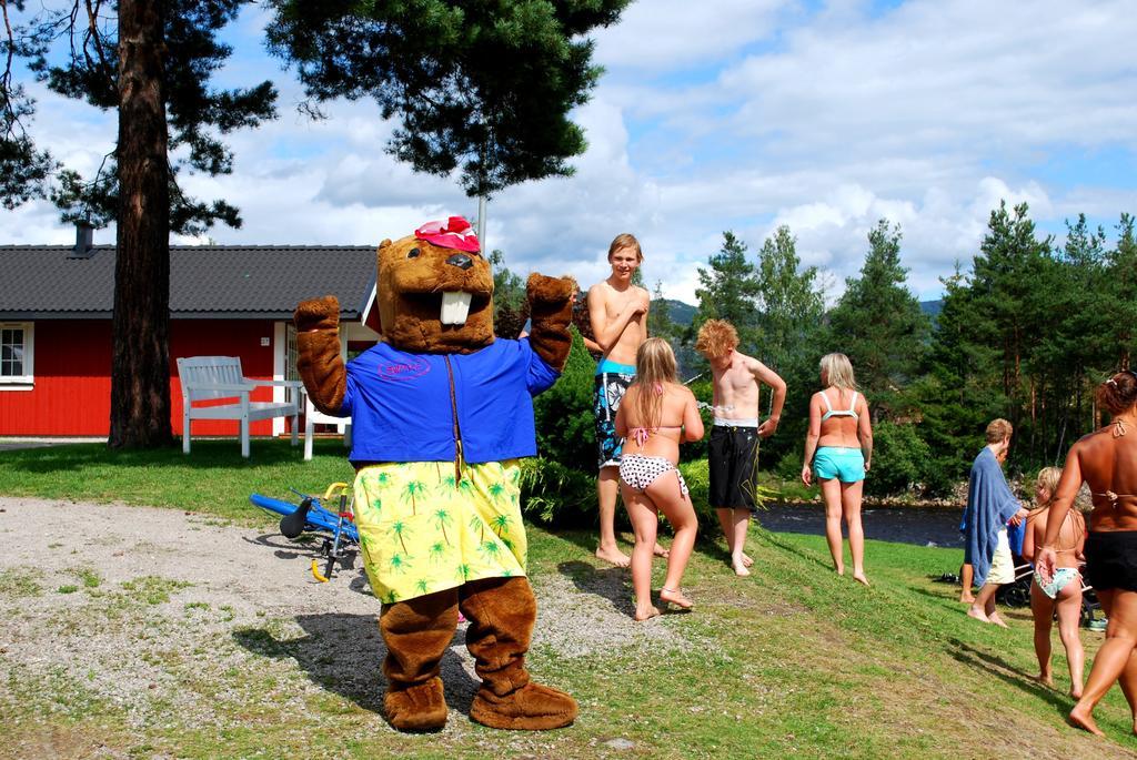 Beveroya Hytteutleie Og Camping Bo (Telemark) Dış mekan fotoğraf